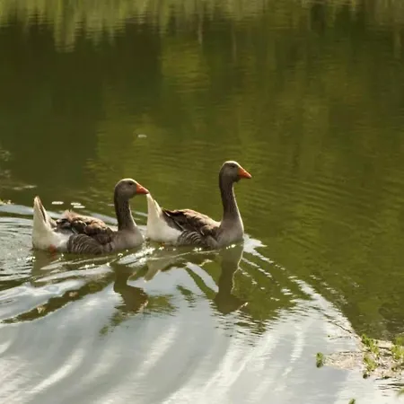 Peaceful With Pool Mazeyrolles