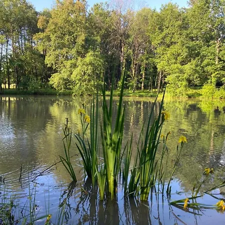 Dom wakacyjny Peaceful With Pool Mazeyrolles