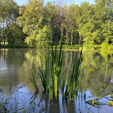 Forest Escape Mazeyrolles